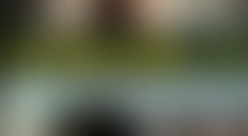 Гардемарины – III