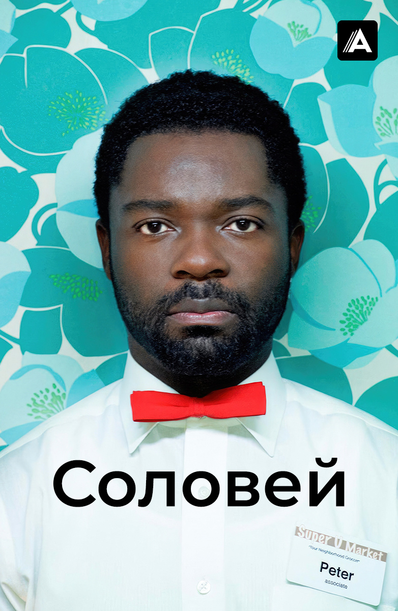 Соловей (2014) смотреть онлайн фильм в хорошем HD качестве