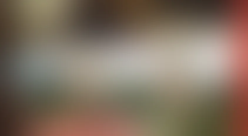 Приказ: Огонь не открывать