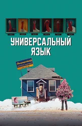 Универсальный язык