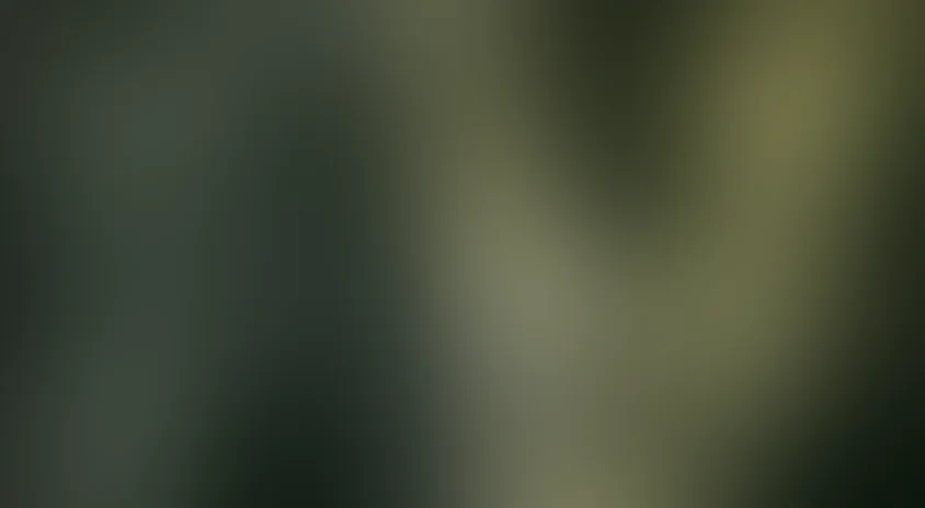 Носферату, симфония ужаса