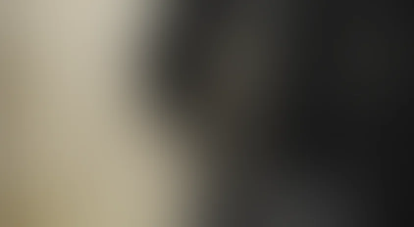 Грозовой перевал (2004)