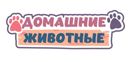 Мультфильм Домашние животные смотреть онлайн