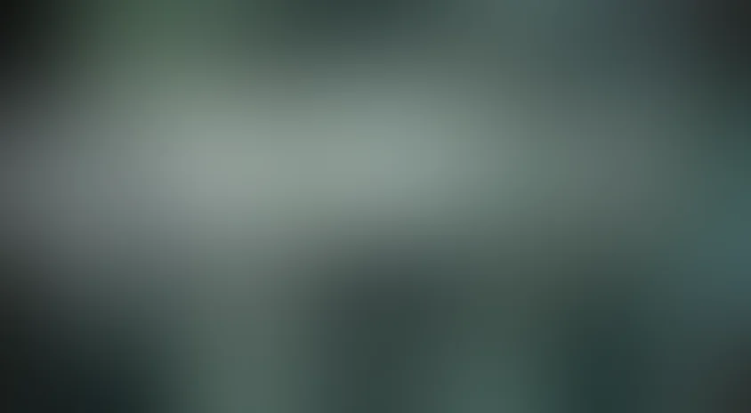 Золотое сечение