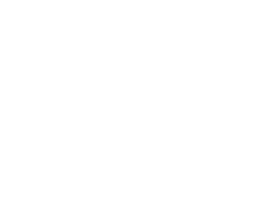 Пингвины моей мамы