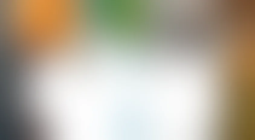 Тайное общество путешественников