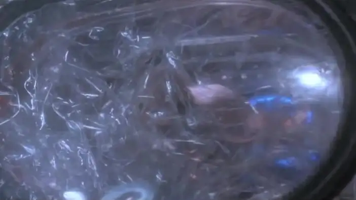 Фрагмент 8 (английский язык)