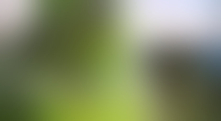 Амазонка 3D: Южная Америка