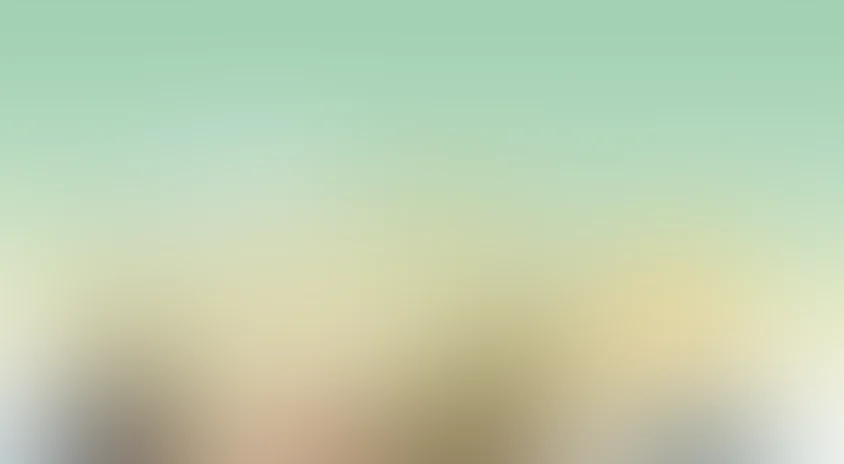 Монстры и пираты