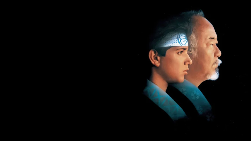 Парень-каратист 2