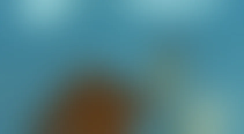 Трям! Здравствуйте!