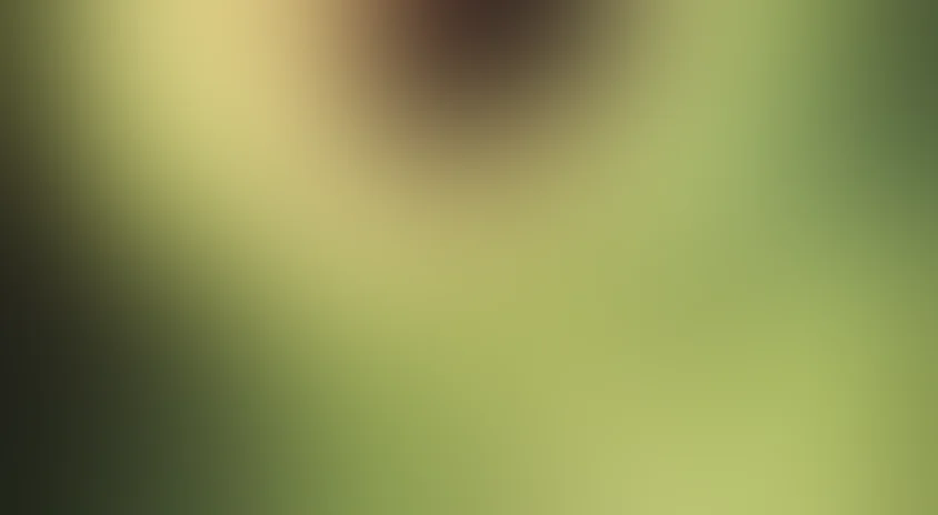 Бишунмо – летящий воин