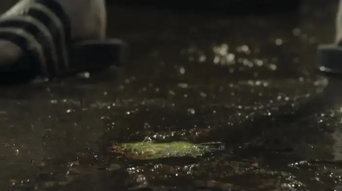 Фрагмент 6 (английский язык)