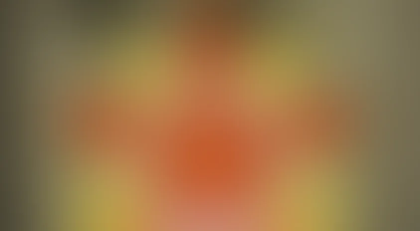 Внуки победы