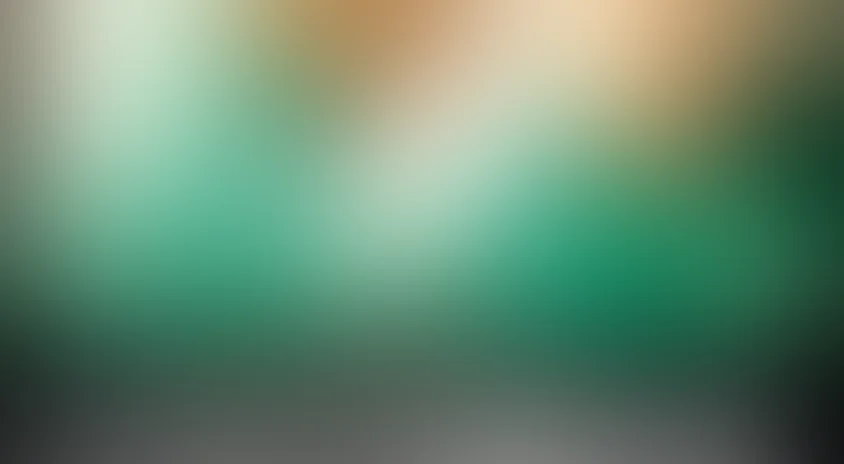 Мы – одна команда