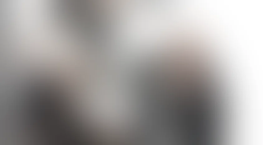 Шоу пошло не так