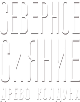 Северное сияние: Древо колдуна 1 сезон 1 серия смотреть онлайн