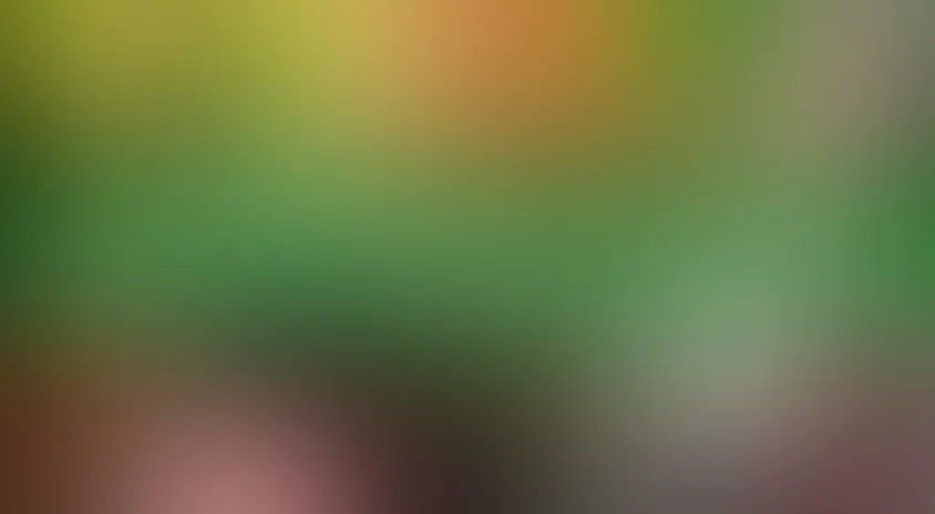 Там, где живет любовь