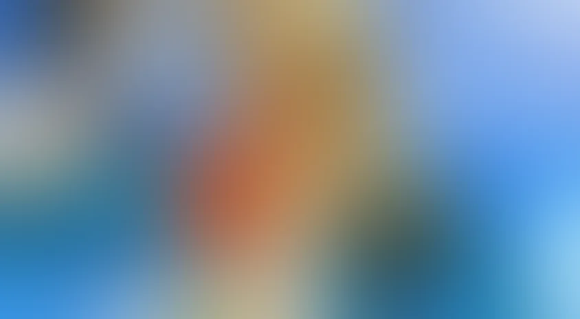 Белка в колесе