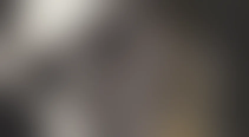 Девять дней одного года