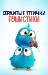 Сердитые птички. Пушистики