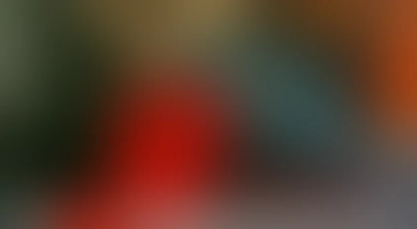 Я – телохранитель