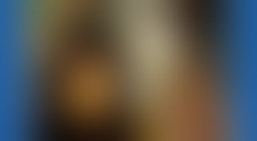 Комедия ошибок