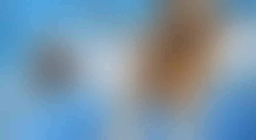 Кошки против собак: Месть Китти Галор