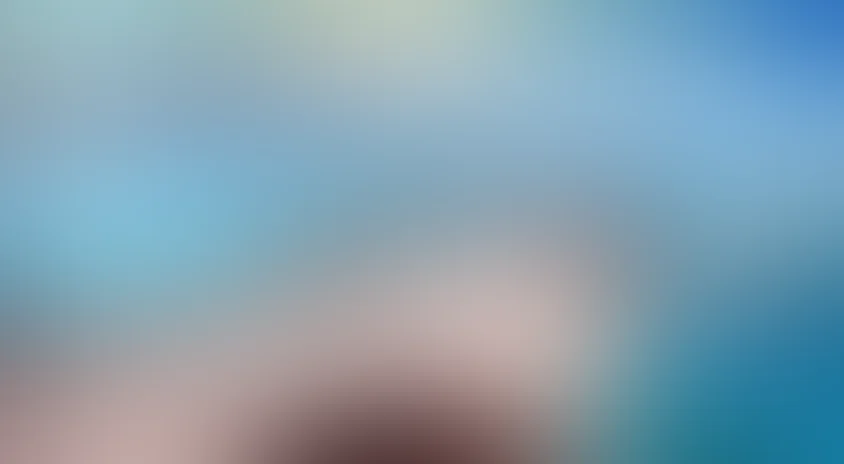 Дикая Южная Африка: По следам белых акул