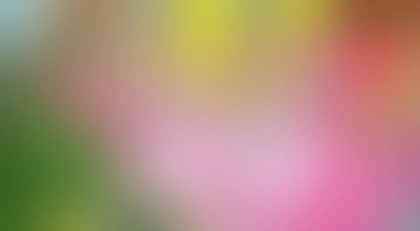 Вовка в Тридевятом царстве