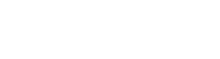 Швабра (START)