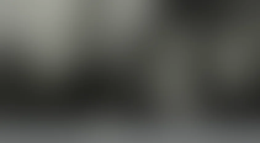 Особо важное задание