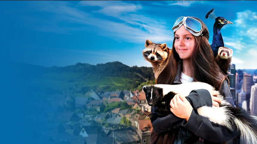 Симона и мистер скунс