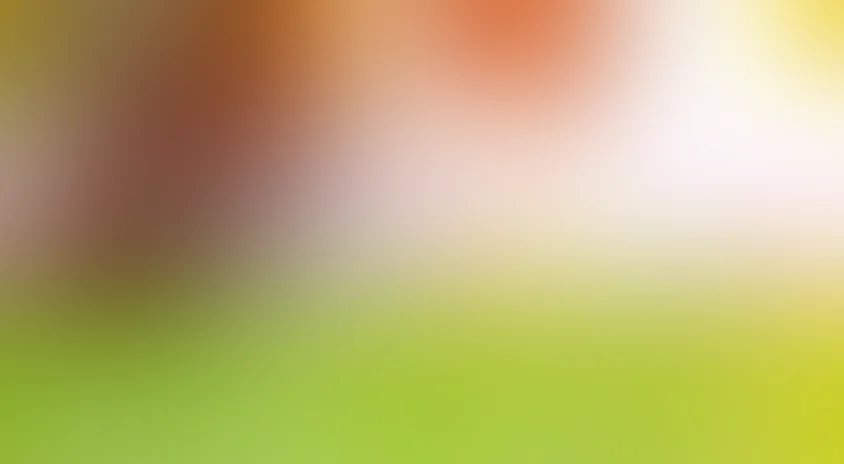 Чужое гнездо