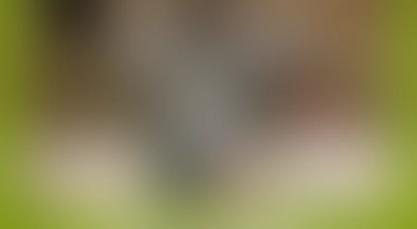 Ни богу, ни черту