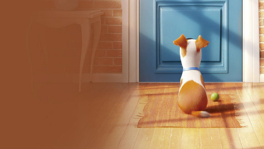 Тайная жизнь домашних животных / The Secret Life of Pets (2016)