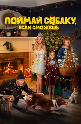 Поймай собаку, если сможешь