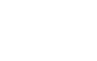 Посвящение Анаис Нин, или Дневник как регулировщик интересной жизни