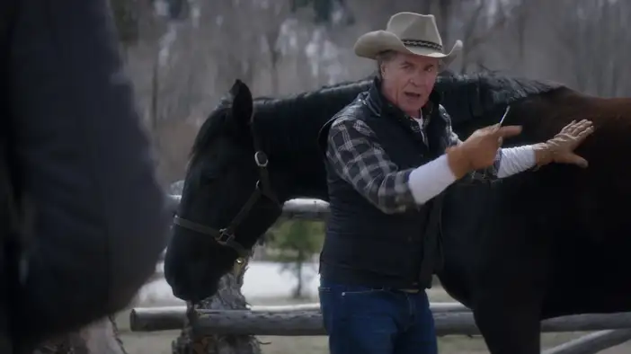 Фрагмент (дублированный)