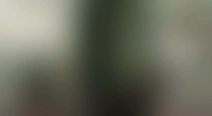 Земля вампиров