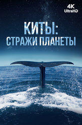 «Я даже не знала, что у проституток есть визитки». Женщина. Документальный фильм. Анонс