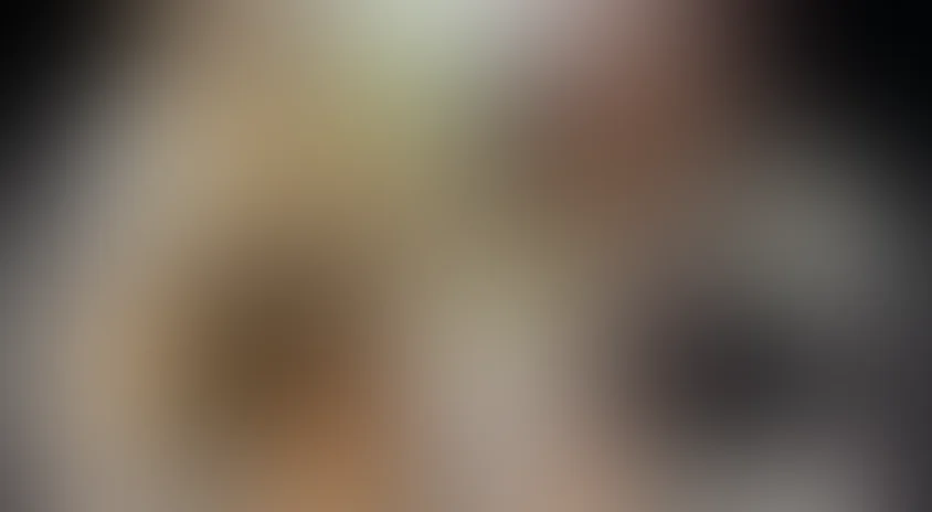 BBC: Ребятам о зверятах