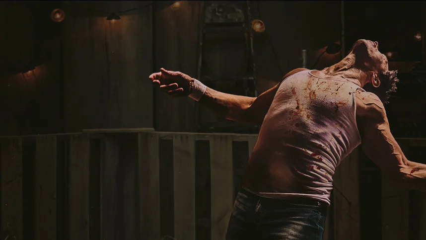 Бойцы на всю голову