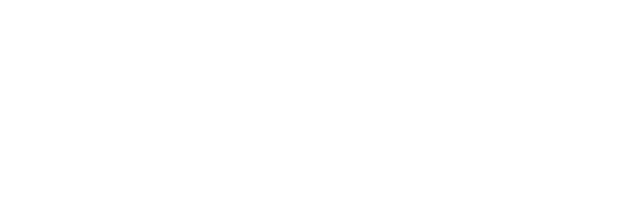Власть в ночном городе