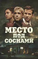 Место под соснами