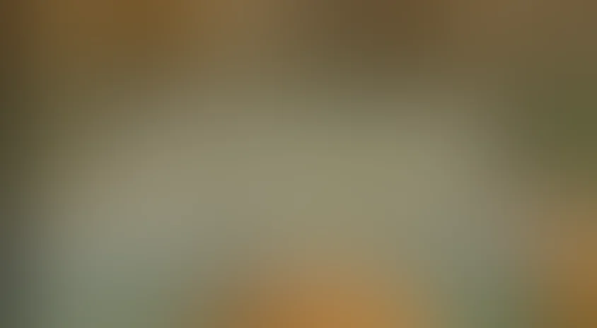 Древние цивилизации