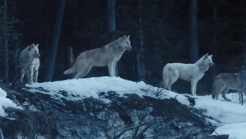 Придержи тьму