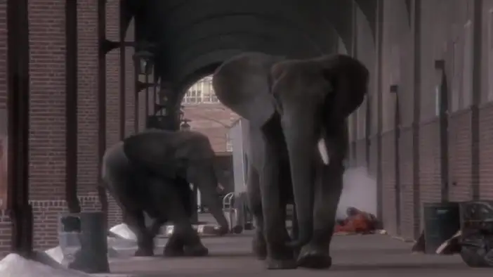 Фрагмент 10 (английский язык)