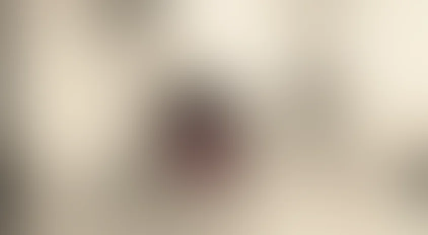 Белый пудель