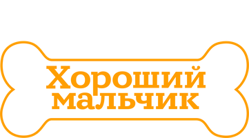Хороший мальчик